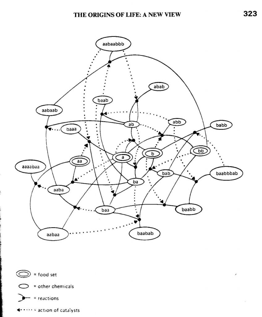 The Process of Peace